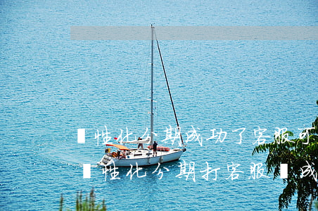 個性化分期成功了客服可以查到嗎-辦理了個性化分期打客服說成功了可信嗎