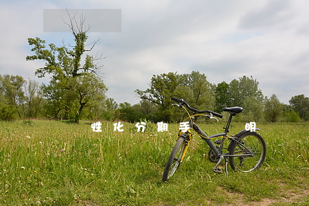 個性化分期手寫證明