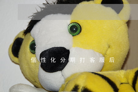 個性化分期打客服后