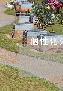 個性化分期提交材料(個性化分期審核多久)