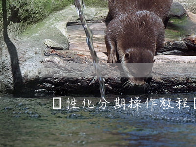 個性化分期操作教程(個性化分期有什么壞處)