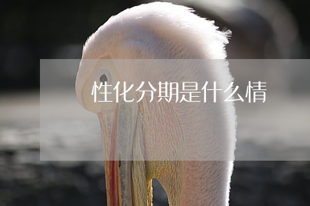 個性化分期是什么情況(個性化分期的利弊)