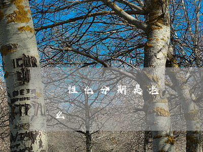 個性化分期是老賴嗎(個性化分期都還不起怎么辦)