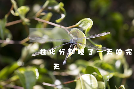 個性化分期晚了一天 做完個性化分期可以晚還兩天嗎