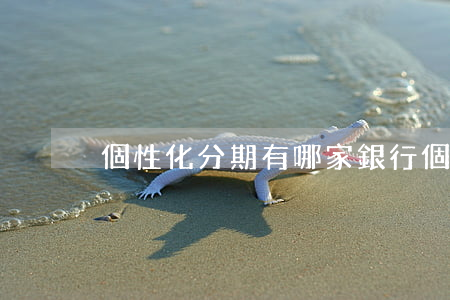 個性化分期有哪家銀行(個性化分期壞處)