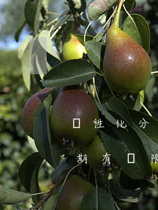 個性化分期期數(shù)太少-個性化分期有寬限期嗎