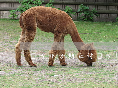 個性化分期止付(個性化分期是停息掛賬嗎)