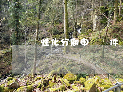 個性化分期申請條件(個性化分期好辦嗎)