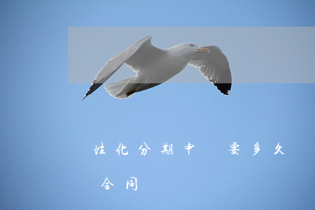 個性化分期申請要多久(個性化分期申請后要簽合同嗎)