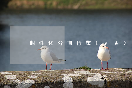 個性化分期行業(yè)(個性化分期定義)