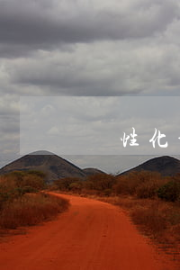 個性化分期計算(個性化分期利息如何計算)