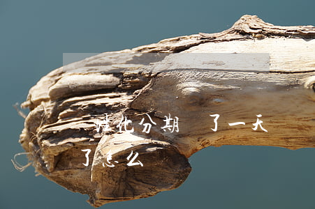 個性化分期遲了一天還(個性化分期還款逾期了怎么辦)