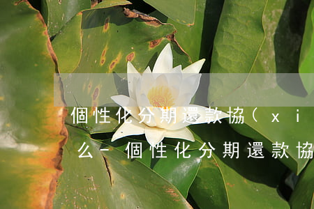 個性化分期還款協(xié)議會影響征信么-個性化分期還款協(xié)議會影響征信么嗎