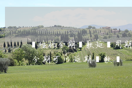 個性化分期還款延長周期是真的嗎-個性化分期可以延期還款嗎