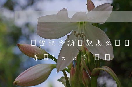個性化分期還款怎么樣(個性化分期還要收取手續(xù)費嗎)