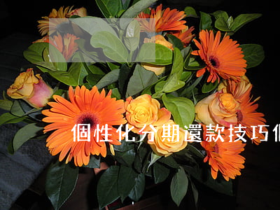 個性化分期還款技巧(個性化分期還款技巧)