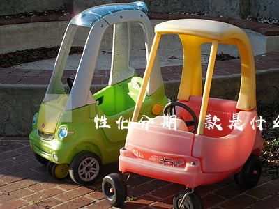 個性化分期還款是什么