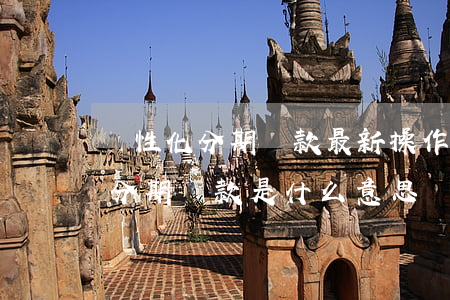 個性化分期還款最新操作方法技巧-個性化分期還款是什么意思