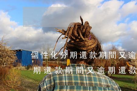 個性化分期還款期間又逾期還款-個性化分期還款期間又逾期還款怎么辦