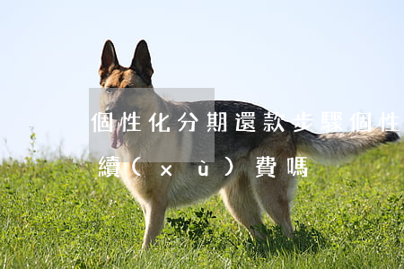 個性化分期還款步驟(個性化分期還有分期手續(xù)費嗎)
