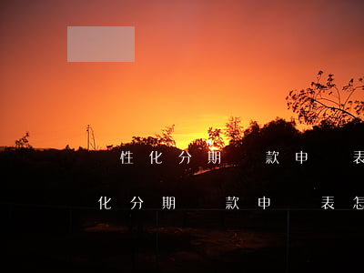 個性化分期還款申請表是去哪里拿的-個性化分期還款申請表怎么填
