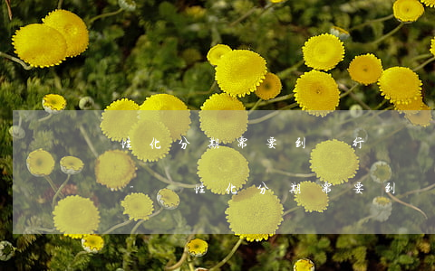 個性化分期需要到銀行簽訂協(xié)議嗎-個性化分期需要到銀行簽訂協(xié)議嗎