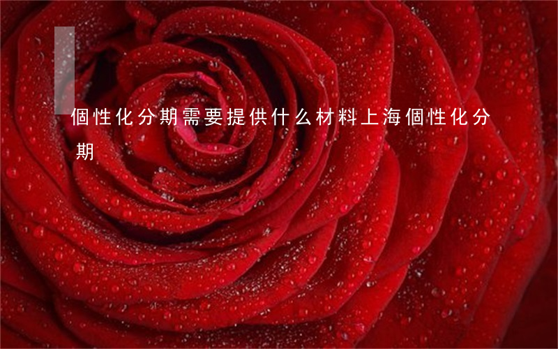 個性化分期需要提供什么材料（上海個性化分期）