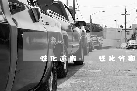 個性化逾期-個性化分期逾期