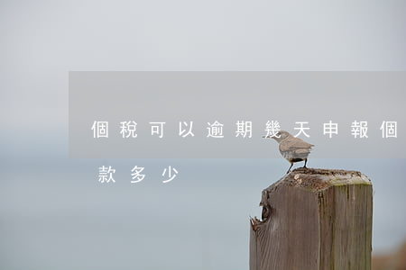 個稅可以逾期幾天申報(個稅申報逾期一天罰款多少)