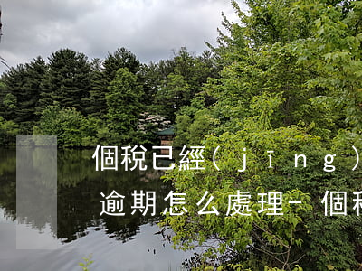 個稅已經(jīng)申報(bào)扣款逾期怎么處理-個稅已經(jīng)申報(bào)扣款逾期怎么處理呢