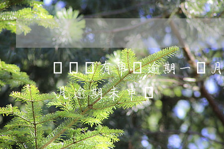 個稅沒有申報逾期一個月多少錢-個稅有個月逾期未申報