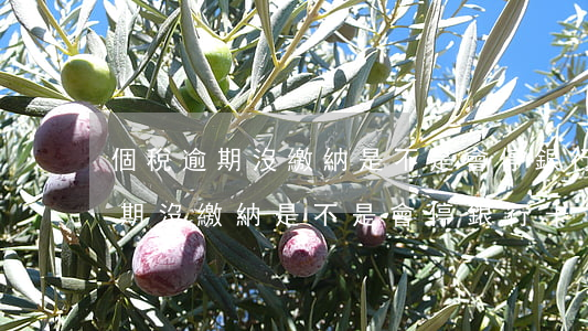 個稅逾期沒繳納是不是會停銀行卡-個稅逾期沒繳納是不是會停銀行卡了