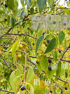 個貸逾期訴訟催收策略-個人貸款逾期催收措施