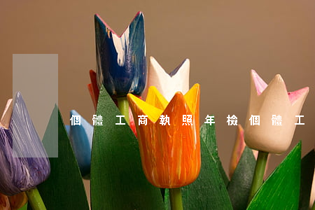 個體工商執照年檢(個體工商執照年檢申報)