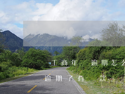 個體工商年檢逾期怎么處罰上海-個體戶年檢逾期了有罰款嗎