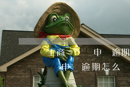 個體工商戶國稅申報逾期怎么辦-個體工商戶國稅申報逾期怎么辦手續(xù)