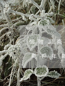 個體工商戶年度報表逾期罰款多少-個體工商戶年報逾期處罰標(biāo)準(zhǔn)