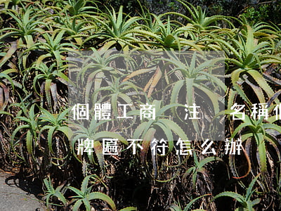 個體工商戶注冊名稱(個體工商戶注冊名稱和牌匾不符怎么辦)