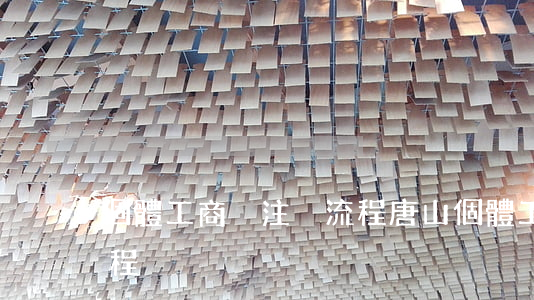 個體工商戶注冊流程(唐山個體工商戶注冊流程)