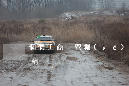 個體工商戶營業(yè)執(zhí)照注銷