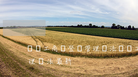 個體工商戶登記管理辦法(個體工商戶登記管理辦法最新)