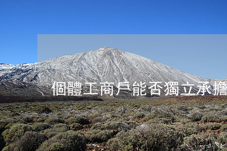 個體工商戶能否獨立承擔民事責任