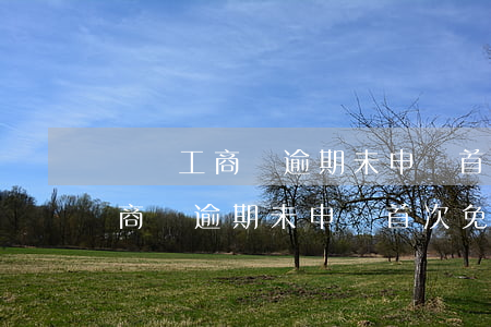 個體工商戶逾期未申報首次免罰嗎-個體工商戶逾期未申報首次免罰嗎是真的嗎