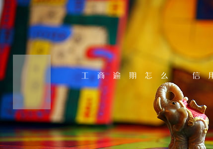 個體工商逾期怎么辦信用卡(個體工商戶逾期)