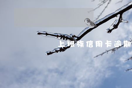 個體戶上班族信用卡逾期(信用卡逾期可以注冊個體戶嗎)