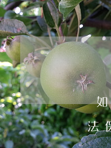 個體戶如何規(guī)避勞動法(個體戶受勞動法保護(hù)嗎)