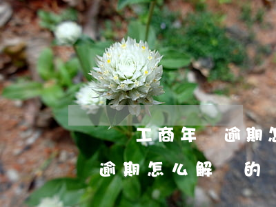 個體戶工商年報逾期怎么解決(個體戶工商年報逾期怎么解決的)