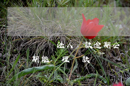 個體戶法人貸款逾期(企業(yè)法人有逾期能辦理貸款嗎)