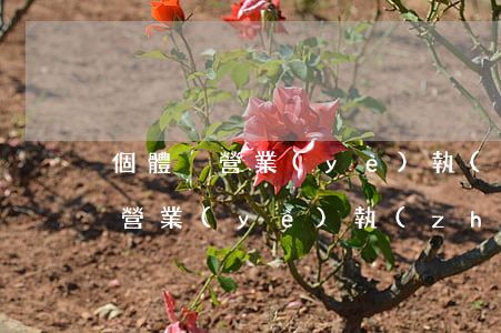 個體戶營業(yè)執(zhí)照(個體戶營業(yè)執(zhí)照)