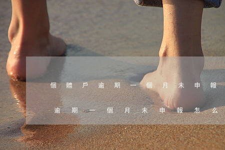 個體戶逾期一個月未申報怎么處理-個體戶逾期一個月未申報怎么處理呢